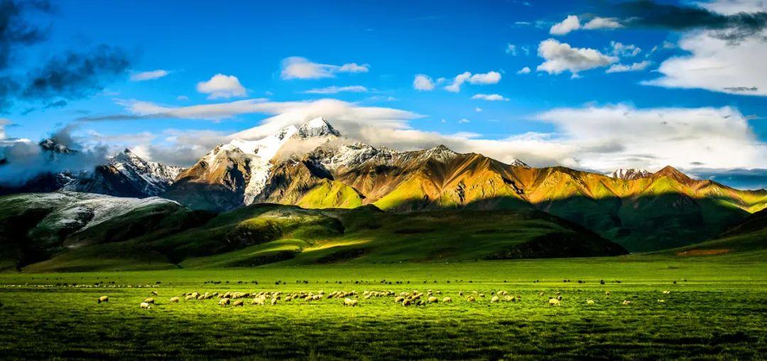 旅游意外险怎么买,乱花渐欲迷人眼,旅游意外险怎么选? 第6张 旅游意外险怎么买,乱花渐欲迷人眼,旅游意外险怎么选? 第6张