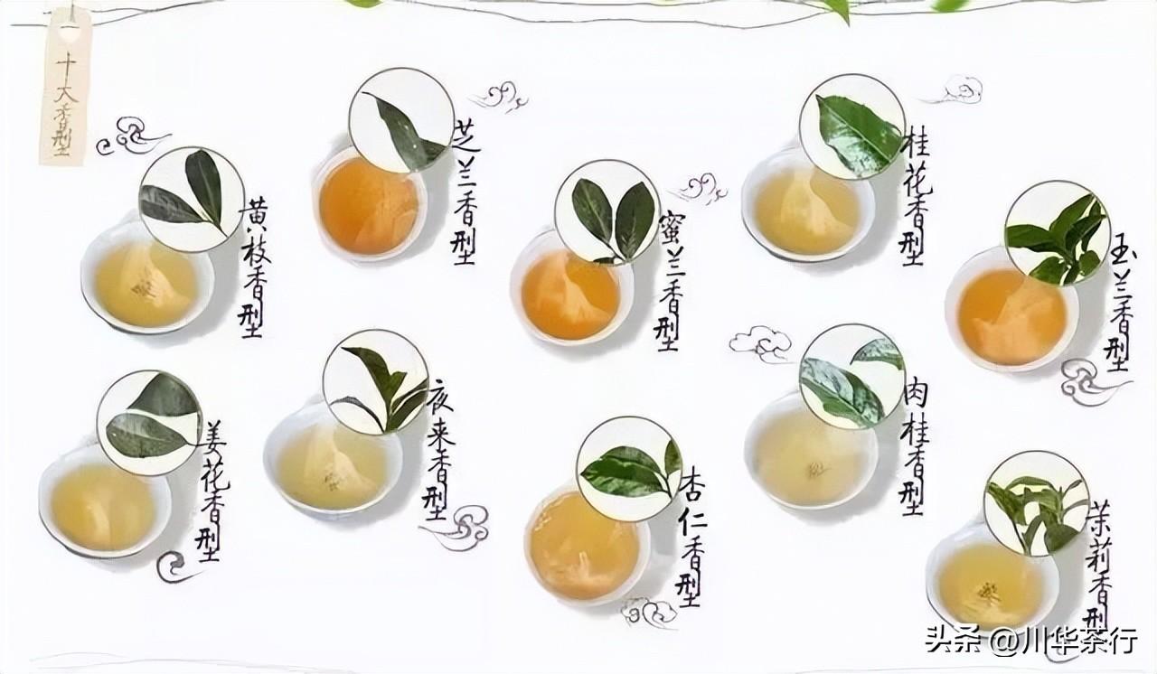 (鸭屎香是什么茶)鸭屎香是什么茶?又是什么味道的?  第2张