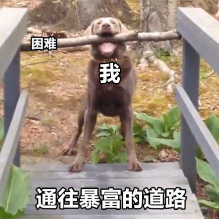 (轻松有钱有额度就能下款吗)网贷太多总被拒?大师兄教你轻松有钱花!  第1张 (轻松有钱有额度就能下款吗)网贷太多总被拒?大师兄教你轻松有钱花!  第1张