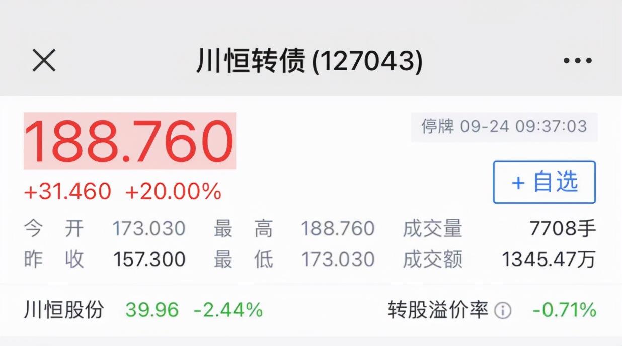 (新债中签)新债中签全攻略，打不了新股，一年也能赚30%  第2张
