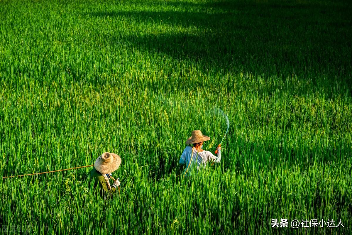(退休待遇)60岁以上农民一律享受退休待遇,统一每人每月发1000元,可行吗? 第3张 (退休待遇)60岁以上农民一律享受退休待遇,统一每人每月发1000元,可行吗? 第3张