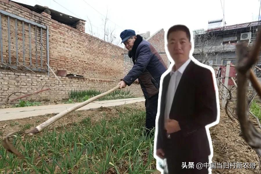 农村50岁，60岁的老人适合做什么工作?听听我的建议是否有道理?(适合60岁老人的小生意)  第2张
