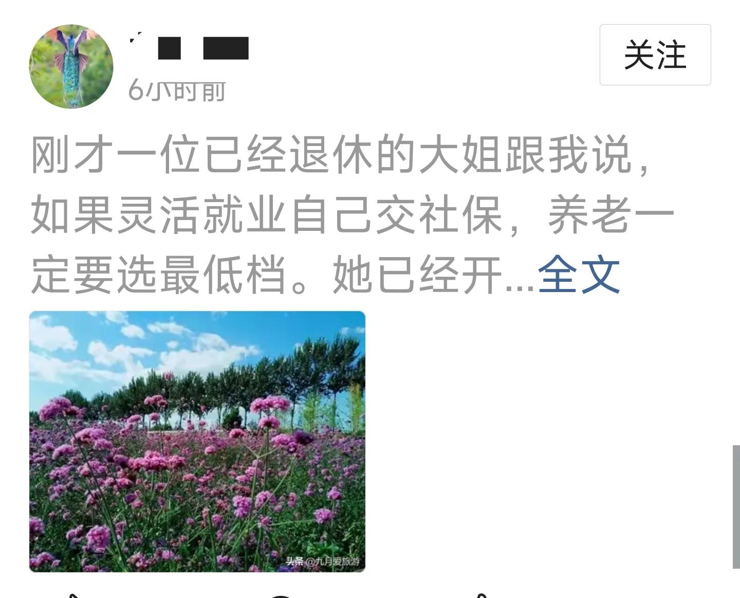 (我好后悔交了养老保险)退休真心话:缴纳养老保险一定要选低档!多交的都后悔了  第1张