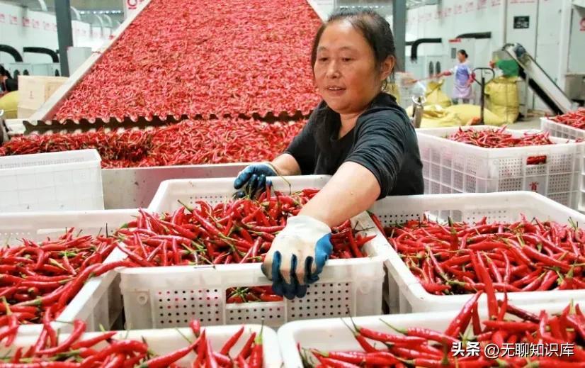 年纪大了，做这5个加工生意，上手不难，赚钱容易点(做生意卖什么好)  第2张